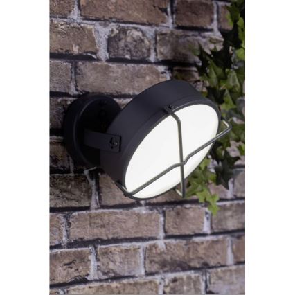 Brilliant - LED Kinkiet zewnętrzny NYX LED/10W/230V IP44 antracyt