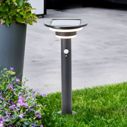 Brilliant - LED Lampa solarna z czujnikiem GARVINA LED/3W/3,7V 2000 mAh 45 cm IP44 czarny