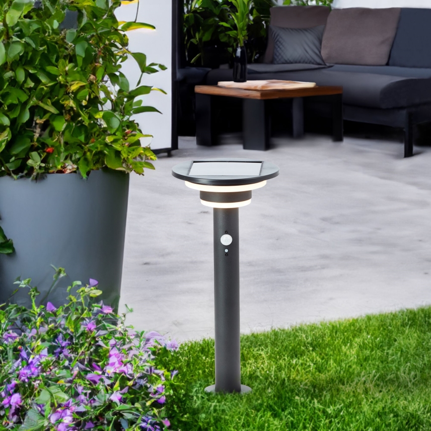 Brilliant - LED Lampa solarna z czujnikiem GARVINA LED/3W/3,7V 2000 mAh 45 cm IP44 czarny