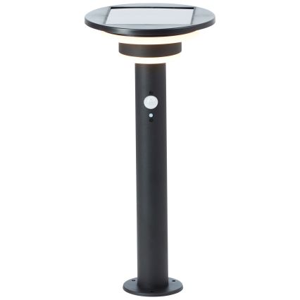 Brilliant - LED Lampa solarna z czujnikiem GARVINA LED/3W/3,7V 2000 mAh 45 cm IP44 czarny