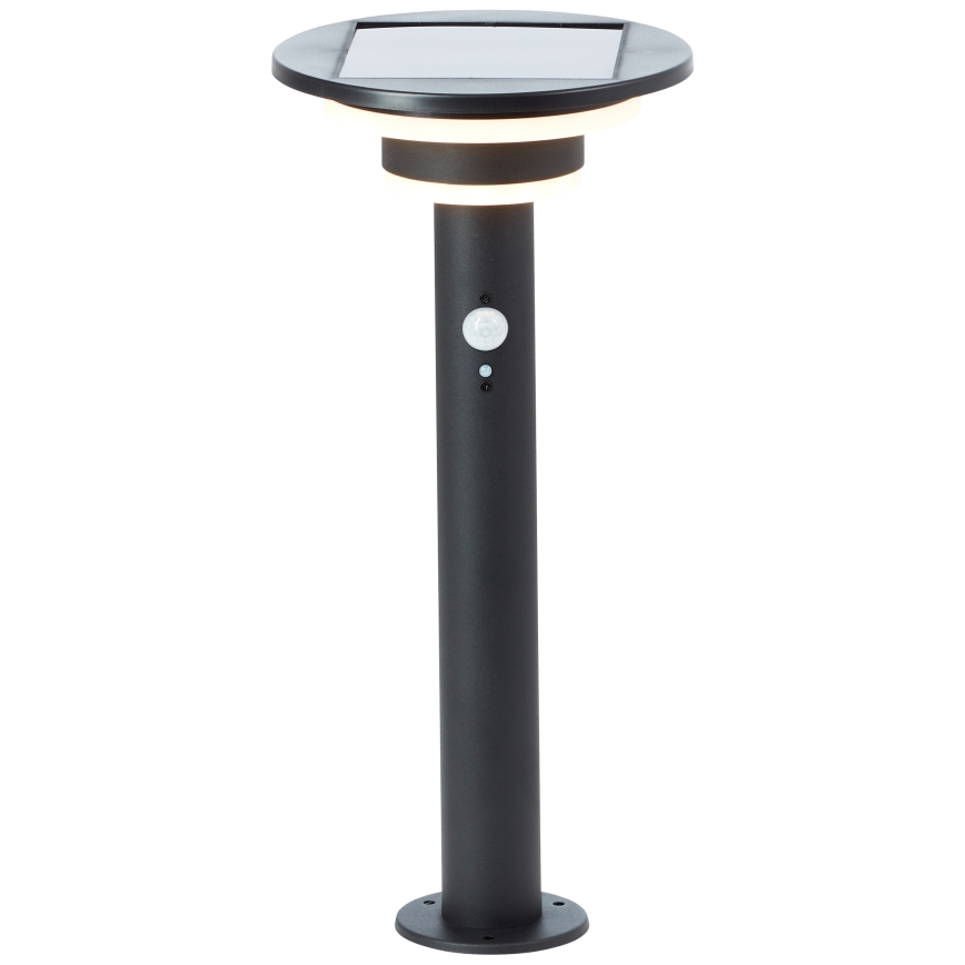 Brilliant - LED Lampa solarna z czujnikiem GARVINA LED/3W/3,7V 2000 mAh 45 cm IP44 czarny
