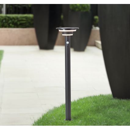 Brilliant - LED Lampa solarna z czujnikiem GARVINA LED/3W/3,7V 2000 mAh 85 cm IP44 czarny