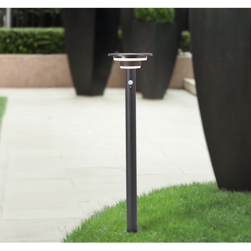Brilliant - LED Lampa solarna z czujnikiem GARVINA LED/3W/3,7V 2000 mAh 85 cm IP44 czarny