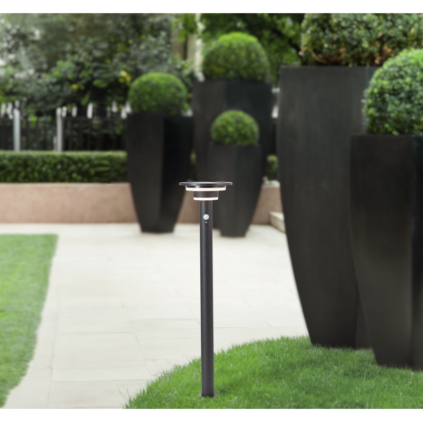 Brilliant - LED Lampa solarna z czujnikiem GARVINA LED/3W/3,7V 2000 mAh 85 cm IP44 czarny