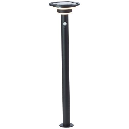 Brilliant - LED Lampa solarna z czujnikiem GARVINA LED/3W/3,7V 2000 mAh 85 cm IP44 czarny