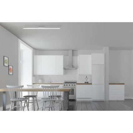 Brilliant - LED Panel ściemnialny CHARLA LED/22W/230V 7x120 cm 3000K