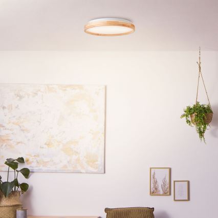 Brilliant - LED Plafon ALSON LED/26W/230V 3000/4500K śr. 39,5 cm figowiec - FSC certyfikowano