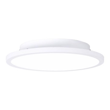 Brilliant - LED Plafon BUFFI LED/12W/230V śr. 25 cm 4000K