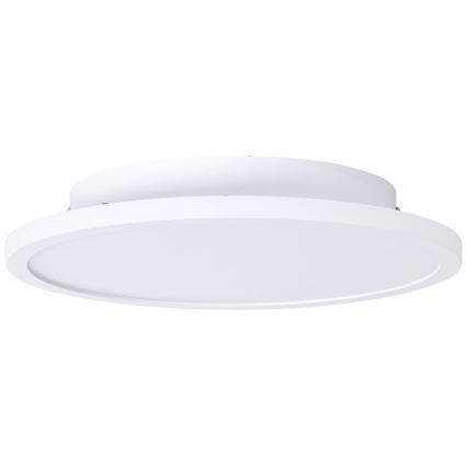 Brilliant - LED Plafon BUFFI LED/12W/230V śr. 25 cm 4000K