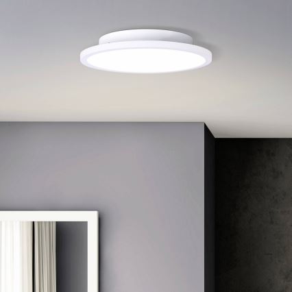 Brilliant - LED Plafon BUFFI LED/13W/230V śr. 25 cm 2700K