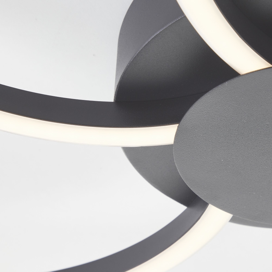 Brilliant - LED Plafon ściemnialny FICO LED/32W/230V 3000-6500K śr. 65 cm czarny + zdalne sterowanie