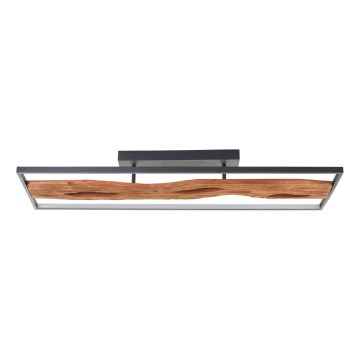 Brilliant - LED Plafon ściemnialny CHAUMONT LED/48W/230V figowiec - FSC certyfikowano