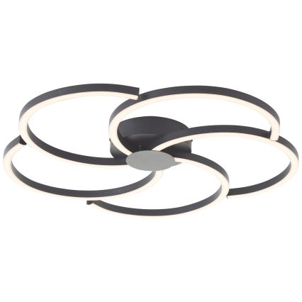 Brilliant - LED Plafon ściemnialny FICO LED/32W/230V śr. 57 cm czarny