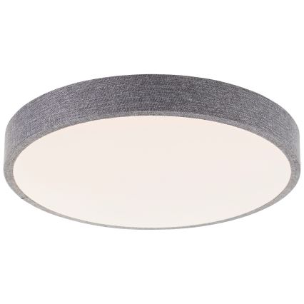 Brilliant - LED Plafon ściemnialny FILIZ LED/24W/230V śr. 38,5 cm szary