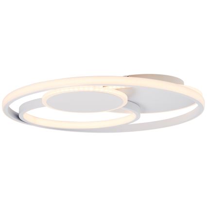 Brilliant - LED Plafon ściemnialny RUNDA LED/50W/230V 3000-6500K biały + zdalne sterowanie