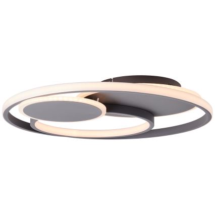 Brilliant - LED Plafon ściemnialny RUNDA LED/50W/230V 3000-6500K czarny + zdalne sterowanie