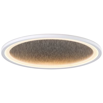 Brilliant - LED Plafon ściemnialny TANIDA LED/31W/230V 3000-6500K + Pilot zdalnego sterowania