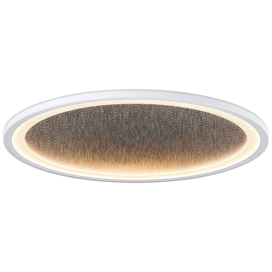 Brilliant - LED Plafon ściemnialny TANIDA LED/31W/230V 3000-6500K + Pilot zdalnego sterowania