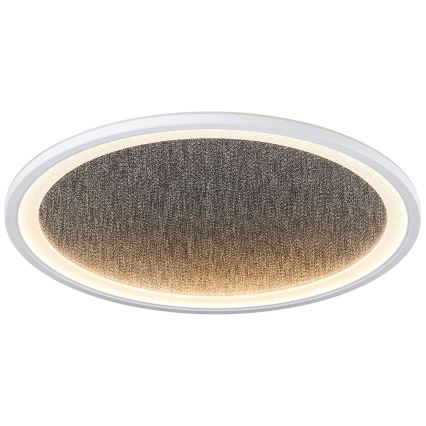 Brilliant - LED Plafon ściemnialny TANIDA LED/31W/230V 3000-6500K + Pilot zdalnego sterowania
