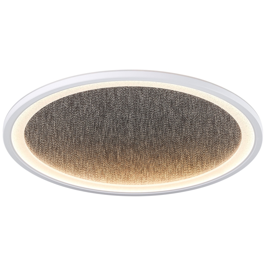 Brilliant - LED Plafon ściemnialny TANIDA LED/31W/230V 3000-6500K + Pilot zdalnego sterowania