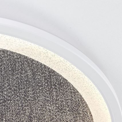 Brilliant - LED Plafon ściemnialny TANIDA LED/31W/230V 3000-6500K + Pilot zdalnego sterowania