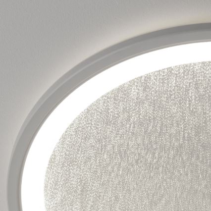 Brilliant - LED Plafon ściemnialny TANIDA LED/31W/230V 3000-6500K + Pilot zdalnego sterowania