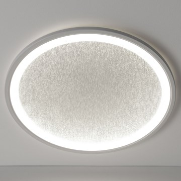 Brilliant - LED Plafon ściemnialny TANIDA LED/31W/230V 3000-6500K + Pilot zdalnego sterowania