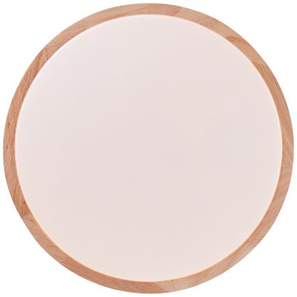 Brilliant - LED Plafon SLIMLINE LED/14W/230V 3000/4000K figowiec - FSC certyfikowano