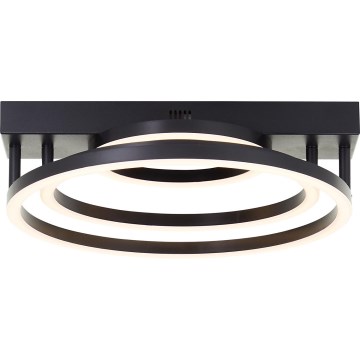 Brilliant - LED Regulowane oświetlenie sufitowe PEDLEY LED/36W/230V czarne