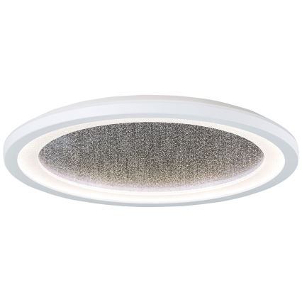 Brilliant - Ściemnialna lampa sufitowa RGBW TANIDA LED/22W/230V 3000-6500K+ zdalne sterowanie