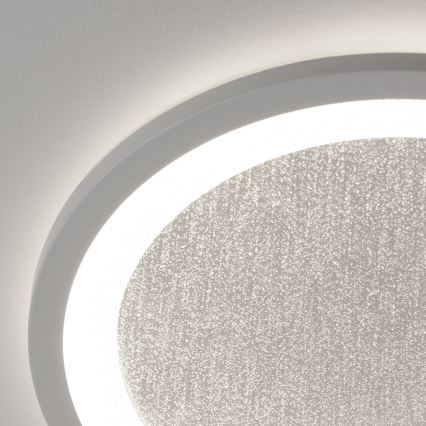 Brilliant - Ściemnialna lampa sufitowa RGBW TANIDA LED/22W/230V 3000-6500K+ zdalne sterowanie