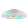 Brilliant - LED RGBW ściemnialna oprawa sufitowa z wentylatorem CATANIA LED/37W/230V 2700-6500K śr. 48,6 cm biała + pilot