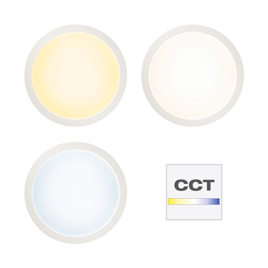 Brilliant - LED RGBW Ściemnialny plafon ABIE LED/24W/230V 2700-6500K + pilot zdalnego sterowania