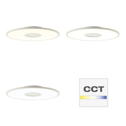 Brilliant - LED RGBW Ściemnialny plafon ODELLA LED/24W/230V 2700-6500K + pilot zdalnego sterowania