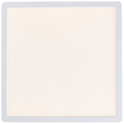 Brilliant - LED RGBW Ściemnialny plafon SALTERY LED/20W/230V 3000-6500K + pilot zdalnego sterowania
