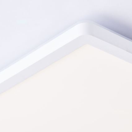 Brilliant - LED RGBW Ściemnialny plafon SALTERY LED/20W/230V 3000-6500K + pilot zdalnego sterowania