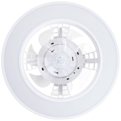 Brilliant - LED RGBW Ściemnialny wentylator sufitowy MONDELLO LED/26W/230V 2700-6500K śr. 41,5 cm biały + zdalne sterowanie