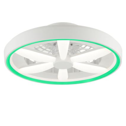Brilliant - LED RGBW Ściemnialny wentylator sufitowy z oświetleniem GAIANO LED/48W/230V 2700-6500K biały + pilot zdalnego sterowania