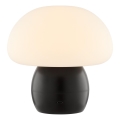 Brilliant - LED ściemnialna ładowalna dotykowa lampka stołowa DUPIS LED/2W/5V 2700K 1800 mAh czarna