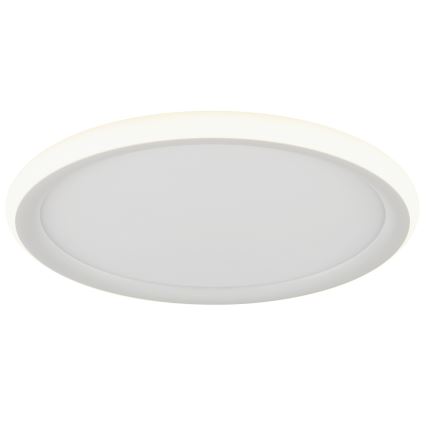 Brilliant - LED ściemnialna lampa sufitowa CARLOZ LED/16W/230V śr. 30 cm biała