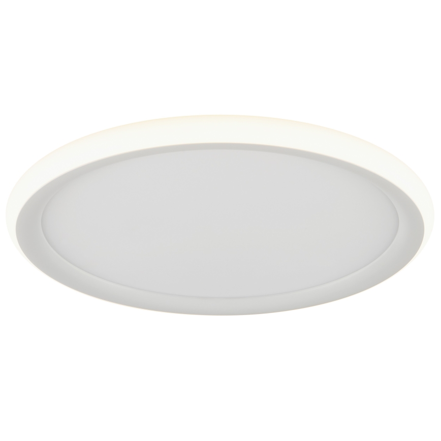 Brilliant - LED ściemnialna lampa sufitowa CARLOZ LED/16W/230V śr. 30 cm biała