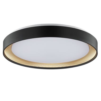 Brilliant - ściemnialna oprawa sufitowa LED WALDO LED/36W/230V 3000-6500K śr. 48,5 cm czarny/złoty + pilot zdalnego sterowania