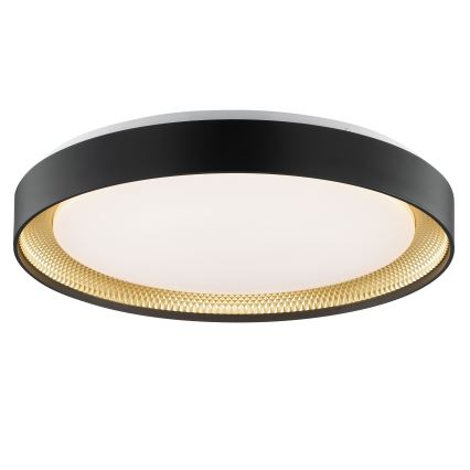 Brilliant - ściemnialna oprawa sufitowa LED WALDO LED/36W/230V 3000-6500K śr. 48,5 cm czarny/złoty + pilot zdalnego sterowania