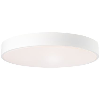 Brilliant - ściemnialna lampa sufitowa SLIMLINE LED/60W/230V 3000-6500K Ø 49 cm biała + pilot