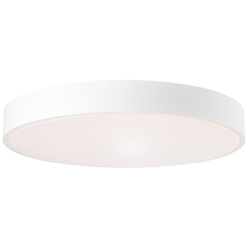 Brilliant - ściemnialna lampa sufitowa SLIMLINE LED/60W/230V 3000-6500K Ø 49 cm biała + pilot