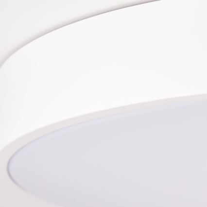 Brilliant - ściemnialna lampa sufitowa SLIMLINE LED/60W/230V 3000-6500K Ø 49 cm biała + pilot
