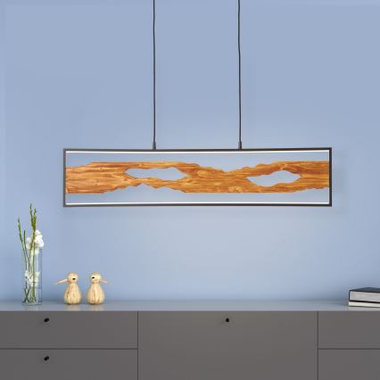 Brilliant - LED Żyrandol na lince CHAUMONT LED/20W/230V sosna - FSC certyfikowano