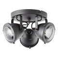 Brilliant - Oprawa punktowa CARMEN 3xGU10/5W/230V czarna