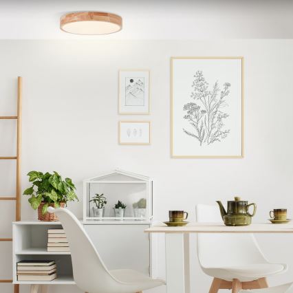 Brilliant - Plafon LED SLIMLINE LED/22W/230V Ø 39 cm kauczukowiec