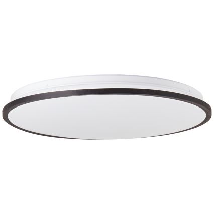 Brilliant - Ściemnialna lampa sufitowa RGBW HEIDA LED/30W/230V 3000-6500K + zdalne sterowanie